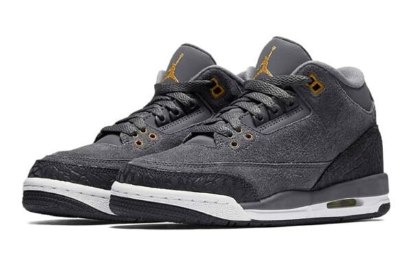 Jordan 3 Retro GG Anthracite Bronze 441140-035