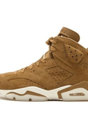Jordan 6 Retro Golden Harvest