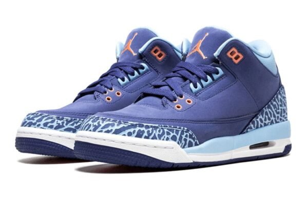 Jordan 3 Retro GG Dark Purple Dust
