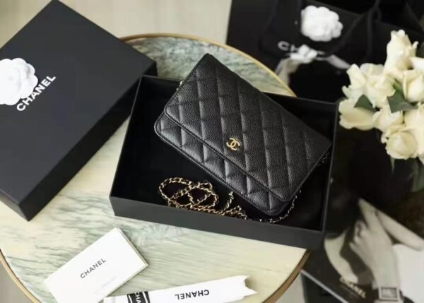 CHANEL WALLET ON CHAIN
