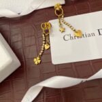 Dior Earrings