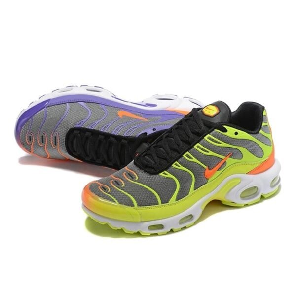 Air Max TN Plus ColorFlip