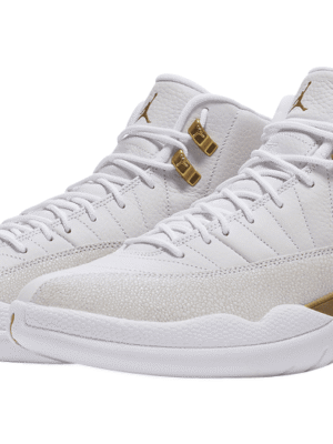ipad_air-jordan-12-ovo-white.png
