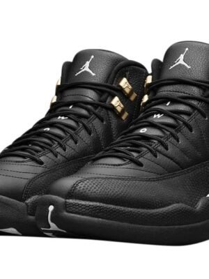 ipad_air-jordan-12-the-master-0.jpg