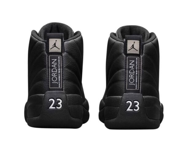 Jordan 12 The Master
