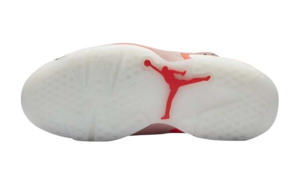 Aleali May x Air Jordan 6 WMNS Millennial Pink