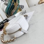 CHANEL 19 CLUTCH WITH CHAIN