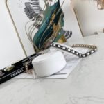 CHANEL 19 CLUTCH WITH CHAIN