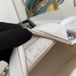 CHANEL 19 CLUTCH WITH CHAIN