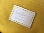 Louis Vuitton Monogram Denim Neo Speedy Blue